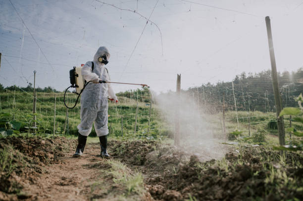 Best Mosquito Control Services  in Edgewood, MD