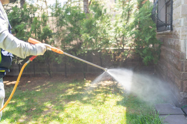 Best Termite Control Services  in Edgewood, MD