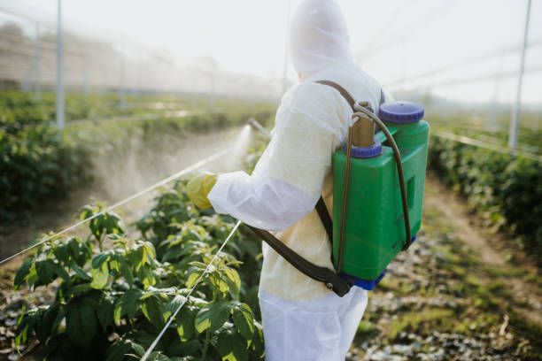 Best Pest Removal Services  in Edgewood, MD